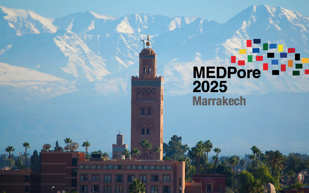 MOF2H2 at MEDPore 2025